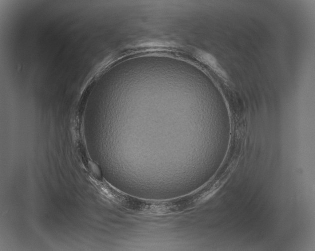 X0000083641357200702121113