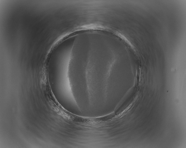 X0000083641358200702121113