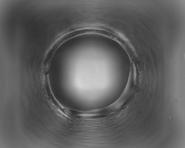 X0000083641360200702121113
