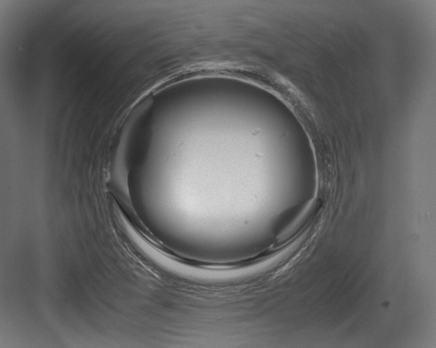 X0000083641361200702121113