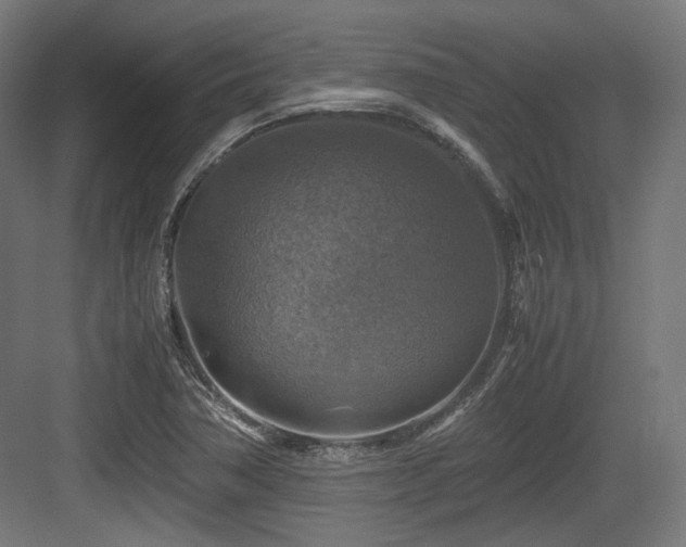 X0000083641362200702121113