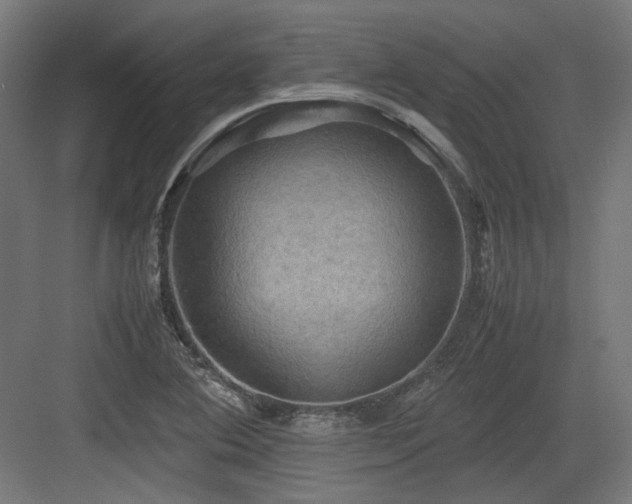 X0000083641364200702121113