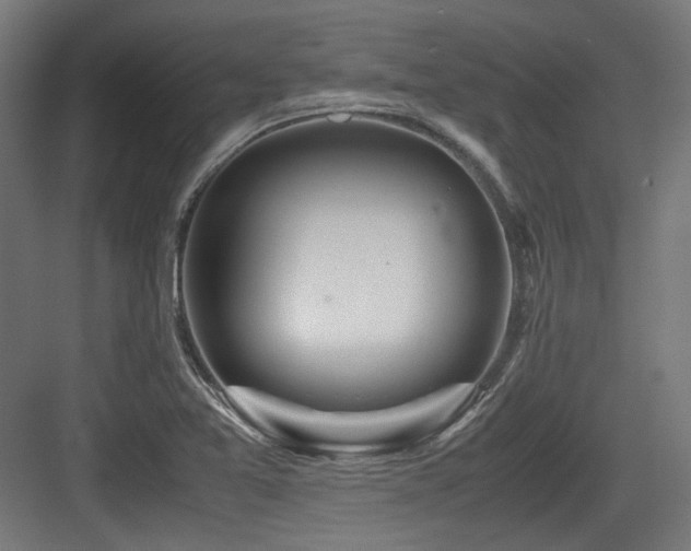X0000083641365200702121113