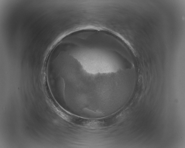 X0000083641367200702121113