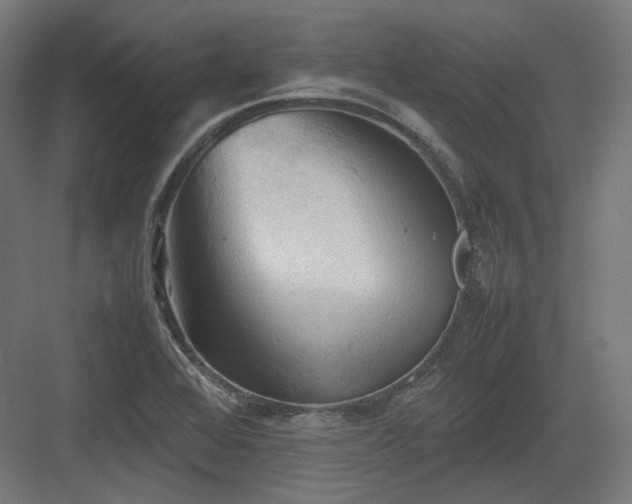 X0000083641368200702121113