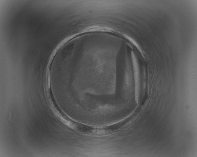 X0000083641371200702121113