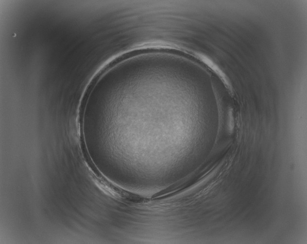 X0000083641372200702121113