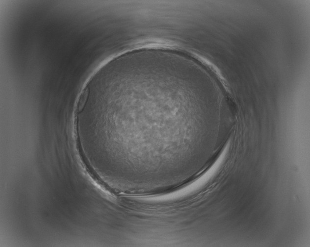 X0000083641375200702121113
