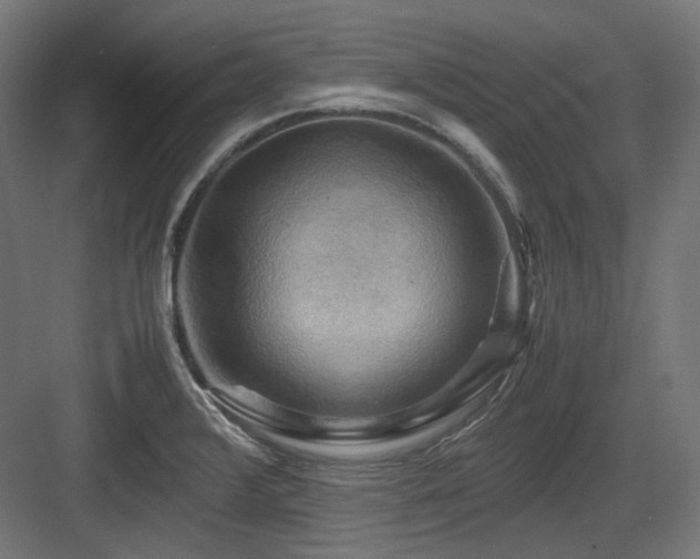 X0000083641376200702121113