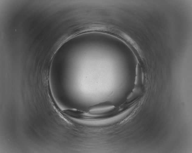 X0000083641377200702121113