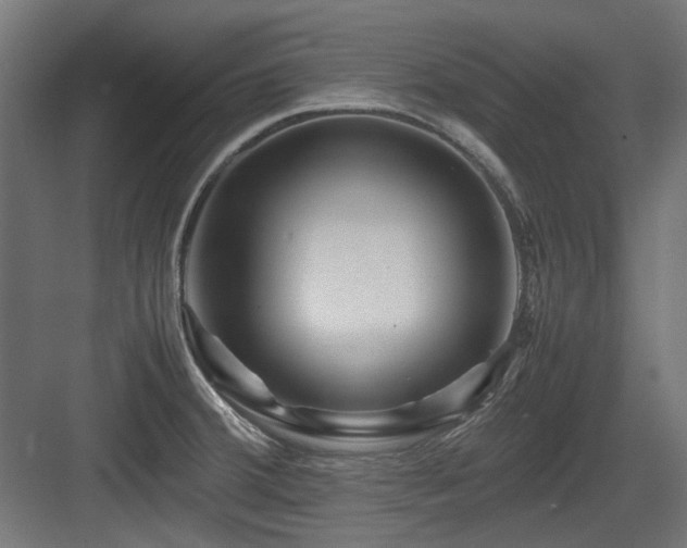X0000083641380200702121113