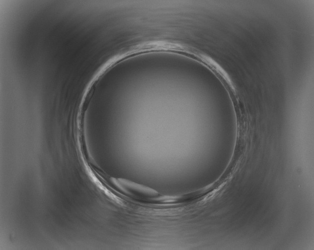 X0000083641381200702121113