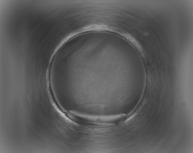 X0000083641382200702121113