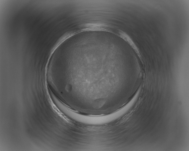 X0000083641386200702121113