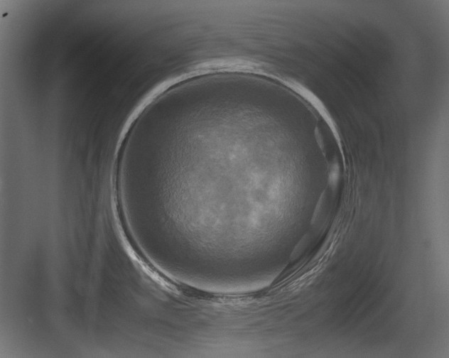 X0000083641389200702121113