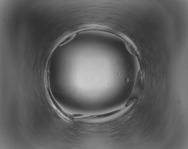 X0000083641391200702121113