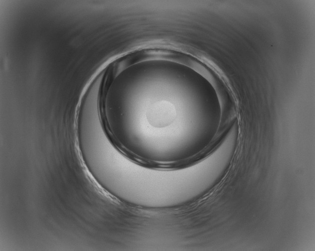 X0000083641392200702121112