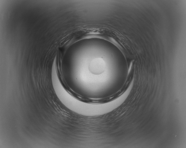 X0000083641394200702121112