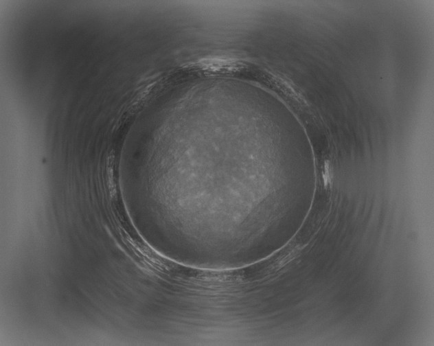 X0000083641396200702121112