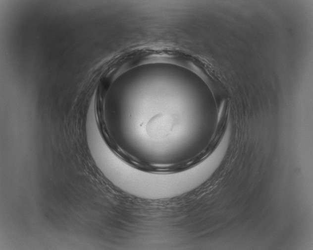 X0000083641398200702121112
