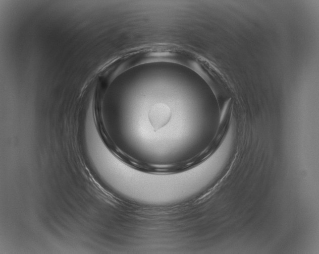 X0000083641402200702121112