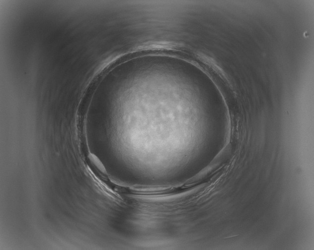 X0000083641404200702121112