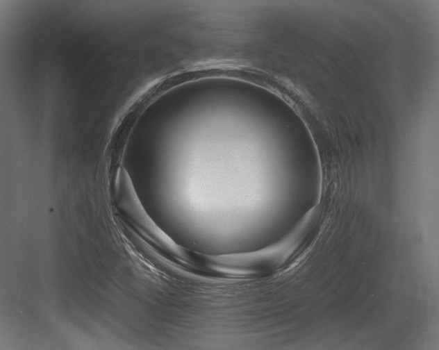 X0000083641406200702121112