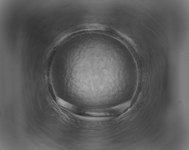 X0000083641407200702121112