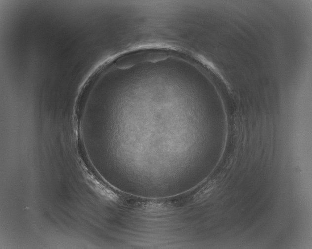 X0000083641408200702121112