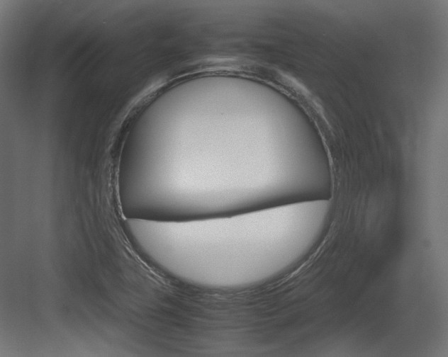 X0000083641411200702121112