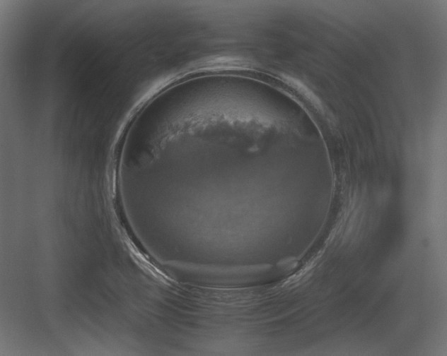 X0000083641413200702121112