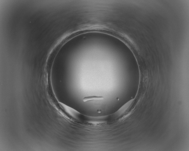 X0000083641414200702121112