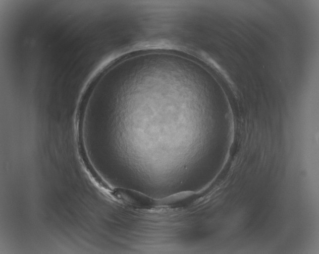 X0000083641416200702121112