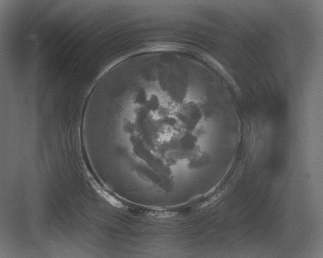 X0000083641417200702121112