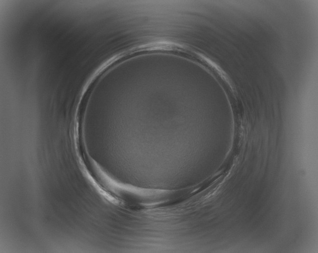 X0000083641418200702121112