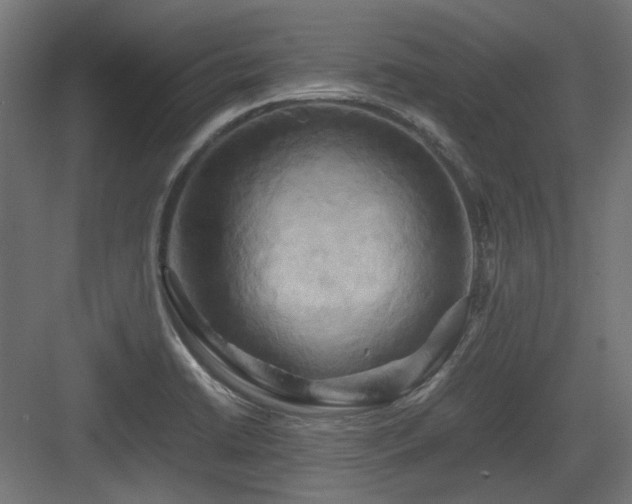X0000083641422200702121112