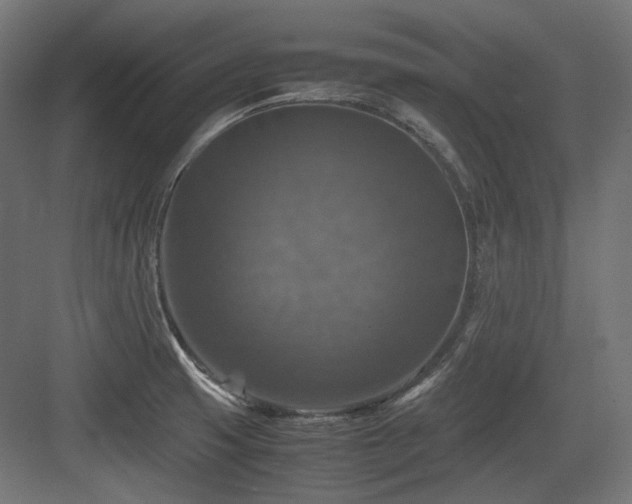 X0000083641425200702121112