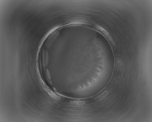 X0000083641427200702121112