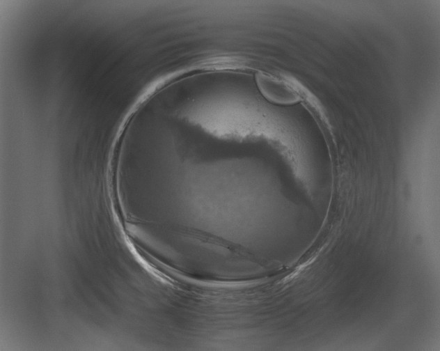 X0000083641429200702121112