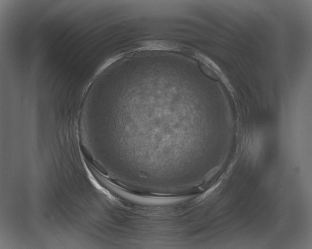 X0000083641433200702121112