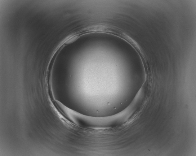 X0000083641434200702121112