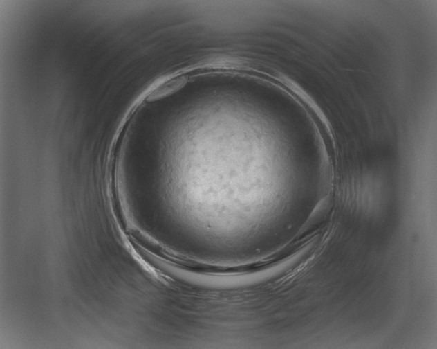 X0000083641437200702121112