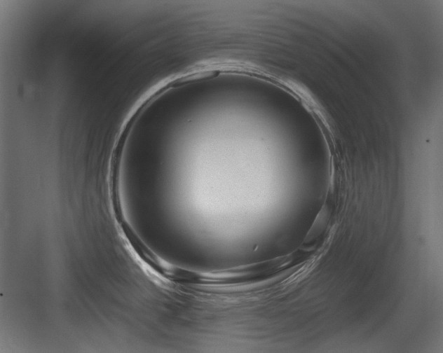 X0000083641438200702121112