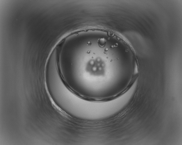 X0000083641439200702121112