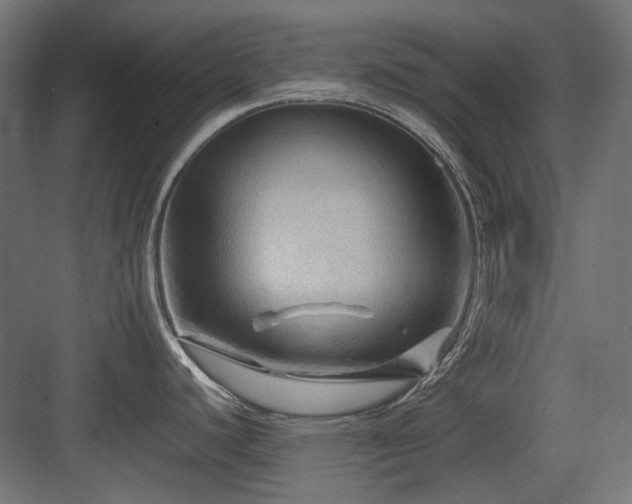 X0000083641440200702121112