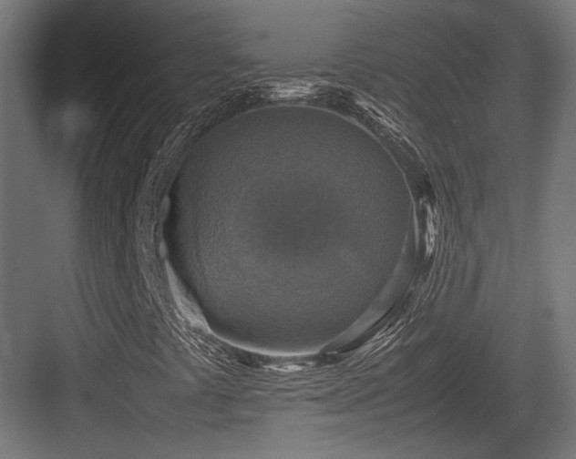 X0000083641441200702121112