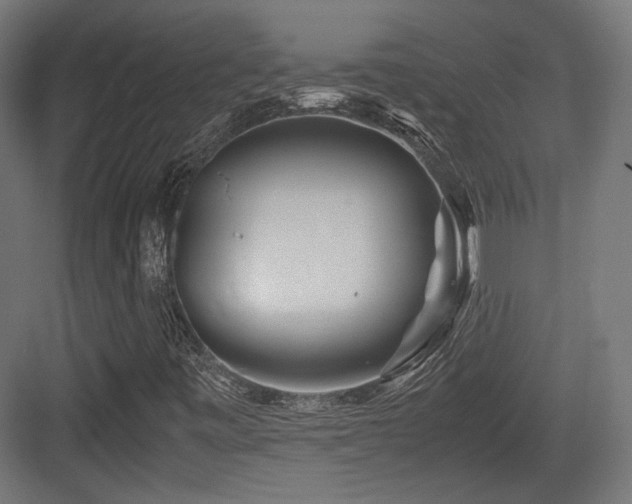 X0000083641443200702121112