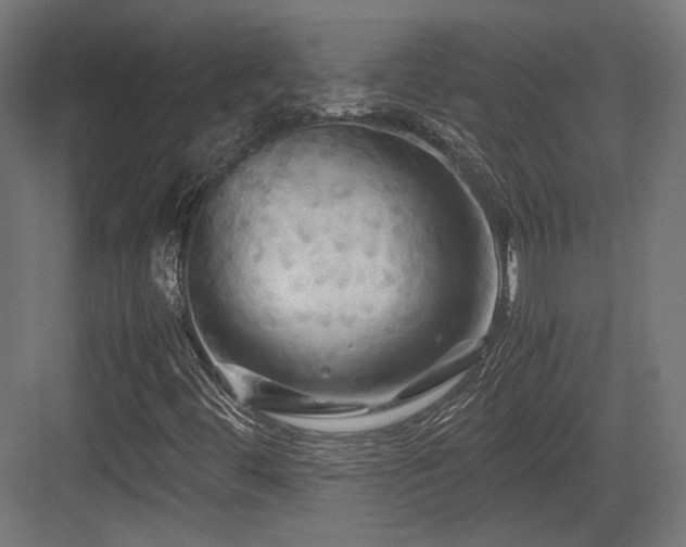 X0000083641444200702121112