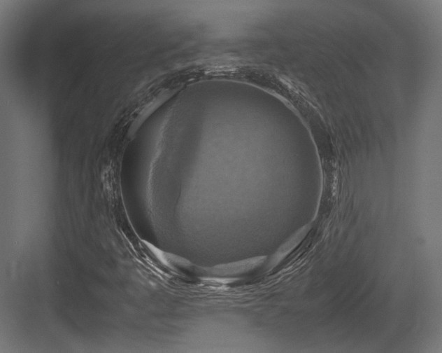 X0000083641445200702121112