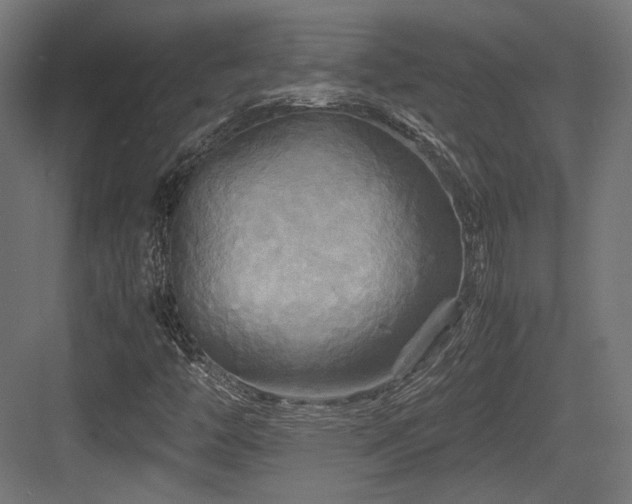 X0000083641446200702121112